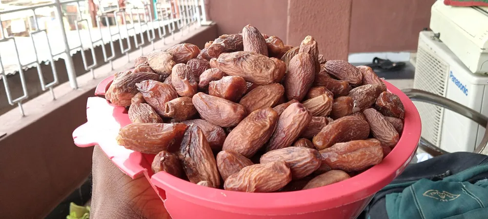 Kurma Terbaik di Indonesia: Perbandingan 10 Varietas Menurut Kebutuhan Anda